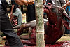 Struggle (Funeral Ritual II) Photo: This christian area in Indonesia is famed for their elaborate funeral traditions.  Families save their entire lives to in order to pay for animals to slaughter when loved one dies.  It's not uncommon for a wealthy family to slaughter 50 water buffaloes and 100 pigs over the course of several days.  The meat is later distributed to local villagers.