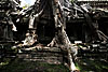 Tree Roots Photo: Preah Khan temple, part of the Angkor Wat temple complex, was neglected since its abandonment and as a result, is overgrown with uniquely integrated vegetation.