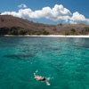 Turqoise Waters Photo: A travel mate snorkels in the waters of famed Komodo Island, home to the Komodo Dragon and some of the loveliest isolated beaches in all of Indonesia.