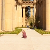 photo: Creamy Columns - A tourist crouches for an all-inclusive shot of the columns at the Palace of Fine Arts in San Francisco.
